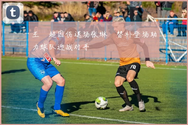 王燊超因伤退场张琳芃替补登场助力球队迎战对手